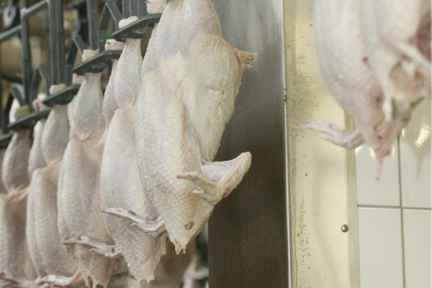 EU - SA dumping row intensified. Photo: Henk Riswick