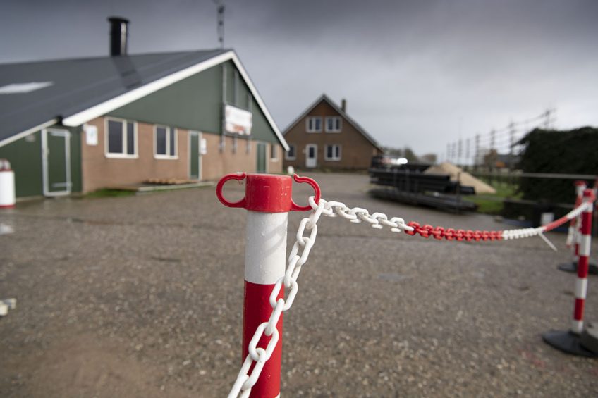 A 3-mile protection zone has been set up around the farm near Clough in County Antrim by the Department of Agriculture in Northern Ireland. Photo: Mark Pasveer