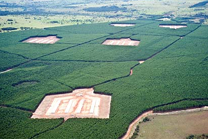 Cobb pioneers compartmentalisation in Brazil