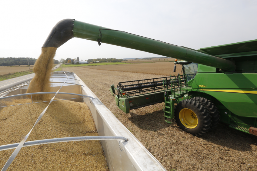 With the supplementation of protease, the level of soya in feed can be reduced, effectively reducing the Global Warming potential up to 12%. [Photo: Henk Riswick]