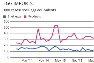 MARKETS: Egg prices firm despite summer lull