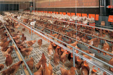 Tailor made precision feeding