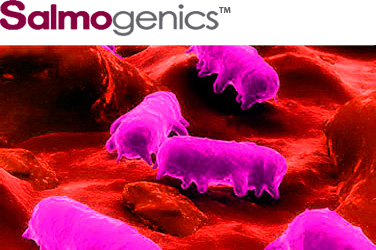 Salmonella vaccine meets FDA antibiotic phase out policy