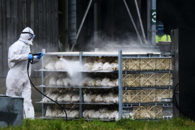 Photo: Mark Bullimore/REX/Shutterstock