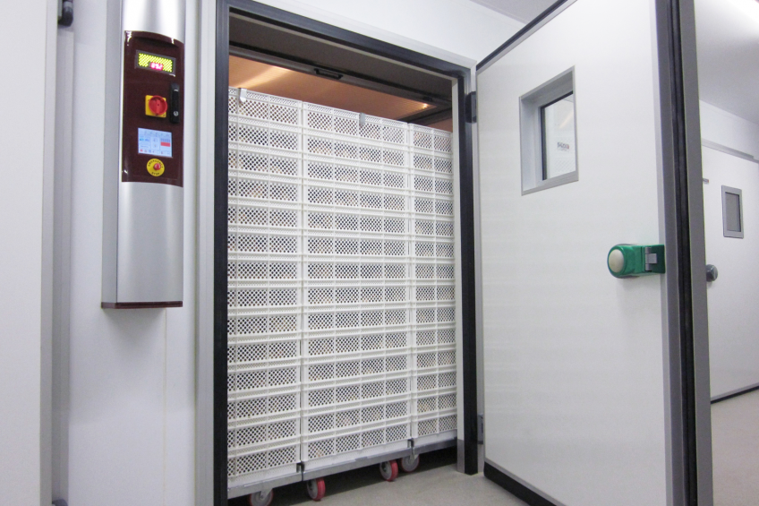 Aviagen EPI invests in HatchTech s unique Chick Storage Room