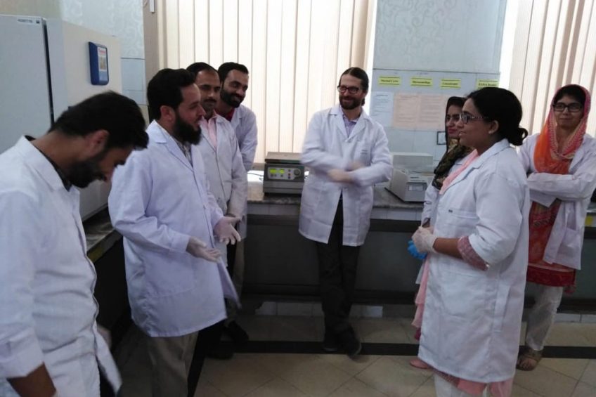 Global team to develop antibiotic alternatives for livestock