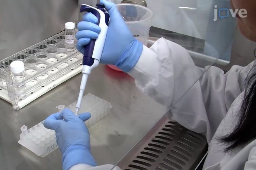 New protocol share for creating poultry disease vaccines. Photo: JoVE