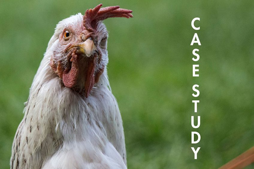 Case Study