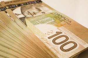 Canadian duck venture receives govt support