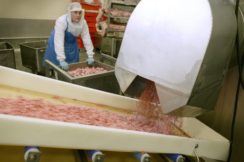 PHOTO: Jan Willem Schouten<br />Polyphosphate-based marinades used in ground poultry ( products have been implicated in the enhanced survival ( of Campylobacter.