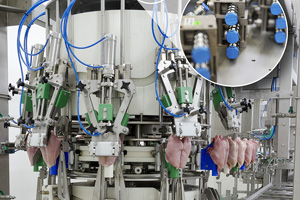 Rapid HQ: Festo's technology is used in amongst others Meyn's breast deboning machine Rapid HQ.
