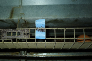 Catching red mite through tape-traps