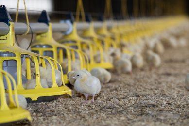 Photo: FLPA/REX/Shutterstock