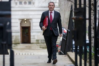 Photo: Rob Pinney/LNP/REX/Shutterstock