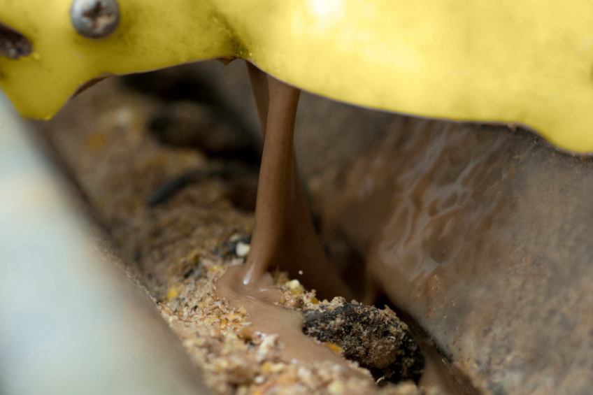 Joint innovation to createpoultry moist feed