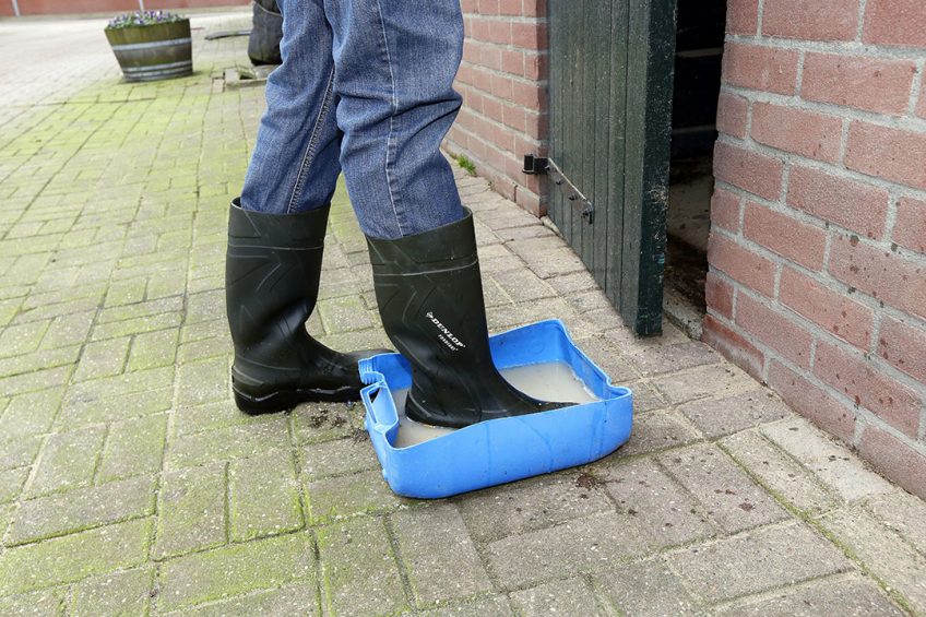 Cleaning footwear before and after visits is just one of the essential tips to keep disease outside the poultry houses. Photo: Henk Riswick