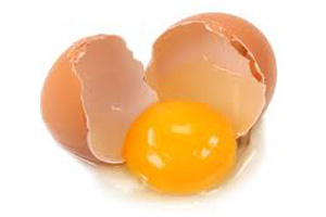 Outrage at UK parliament ban on fresh eggs