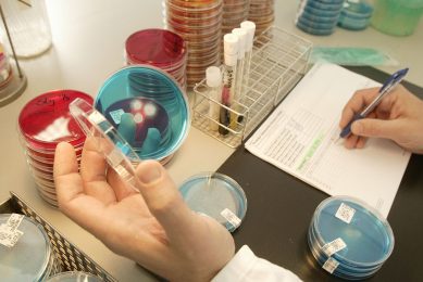 The bacteria found showed varying levels of resistance to the common antimicrobials used to treat Campylobacter. Photo: Koos Groenewold