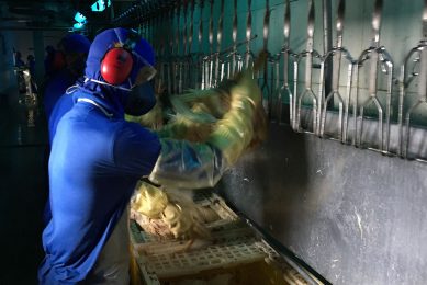 As workers at Brazilian processing plants fall ill, governement shuts the plants down. Photo: Fabian Brockotter
