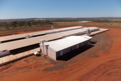 Cobb-Vantress in $15 million expansion in Brazil