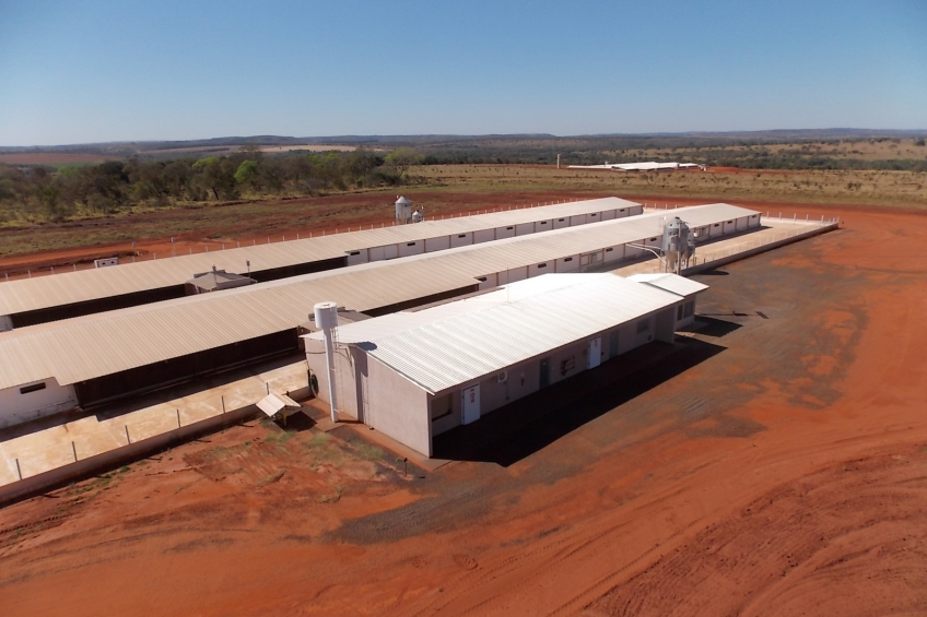 Cobb-Vantress in $15 million expansion in Brazil