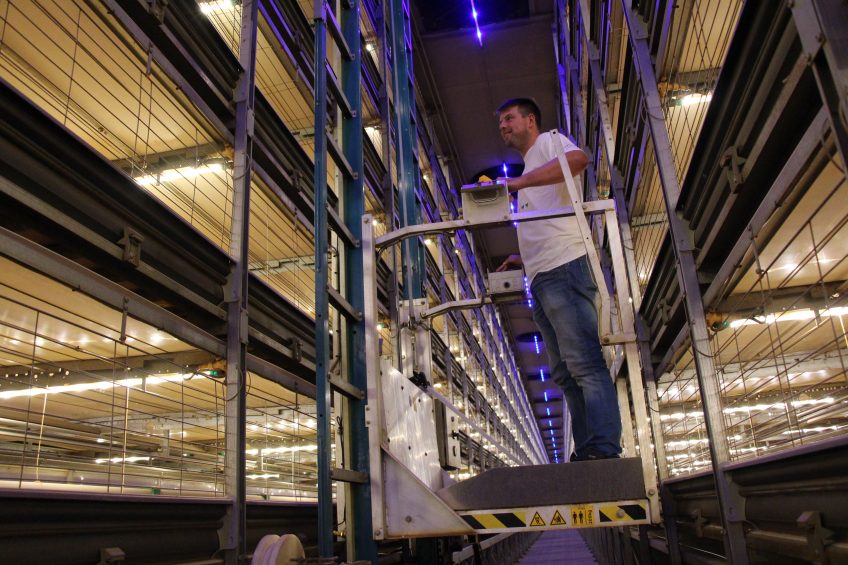 This Patio poultry house has a ground surface of 2,400 square metres with a living space for the chicks of 5,800 square metres. There are 150,000 broilers on six levels. Photo: Dick van Doorn