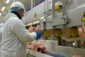 Estonia to construct large poultry processing plant
