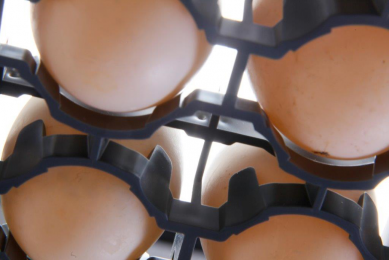 VALO BioMedia upgrades hatchery with Natureform setters