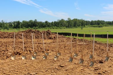 Planning granted for 3 poultry projects despite protests. Photo: Pixabay