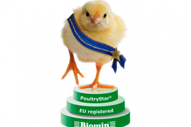New probiotic from Biomin gets EU approval for poultry