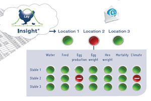 Kwetters Eggs increases production intelligence