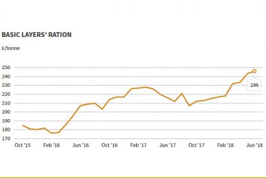 Wheat price drives up rations