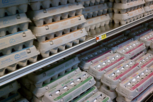 EU egg policies discussed during IEC Business Lecture