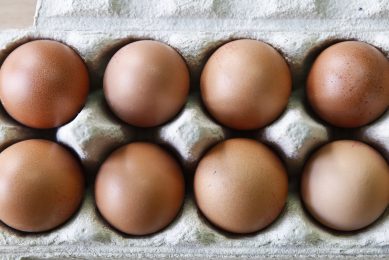 Lancs poultry farmer could lose home to pay court costs. Photo: Zinhua news agency / Rex / Shutterstock