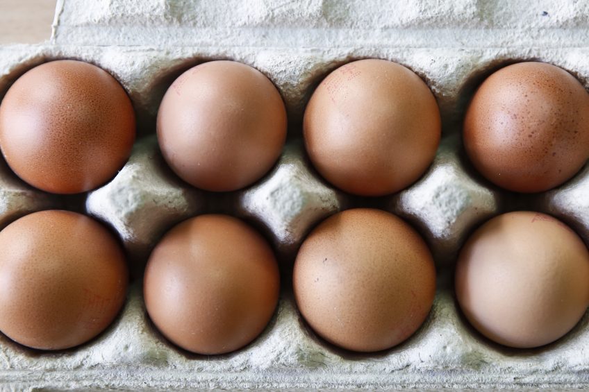 Lancs poultry farmer could lose home to pay court costs. Photo: Zinhua news agency / Rex / Shutterstock