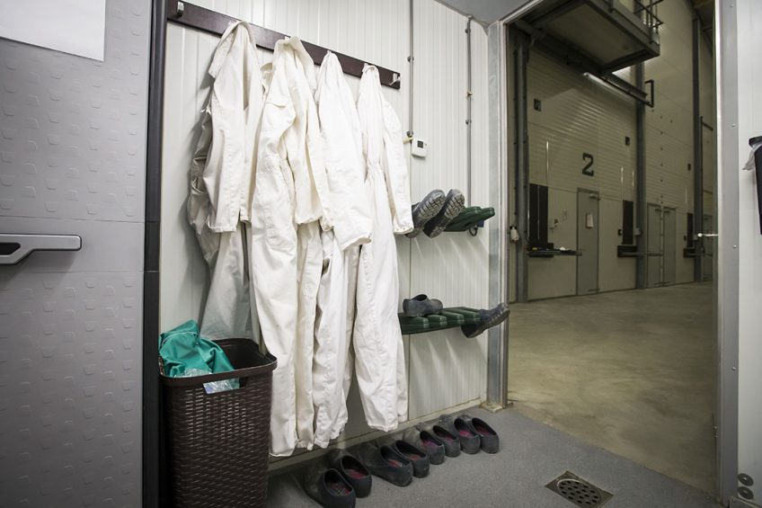 Farms and poultry companies are taking extra biosecurity measures on top of regular procedures. Photo: Bertil van Beek