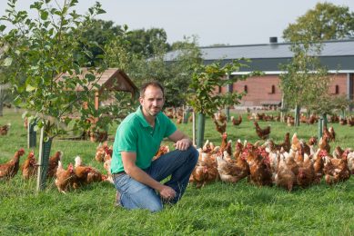 Questions put to RSPCA over perching row. Photo: John Eveson