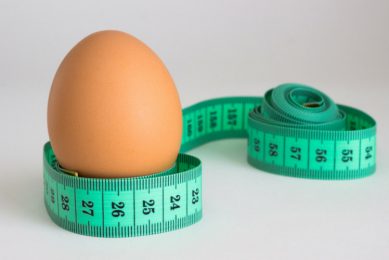 How do you measure performance in the poultry industry? Photo: Alltech