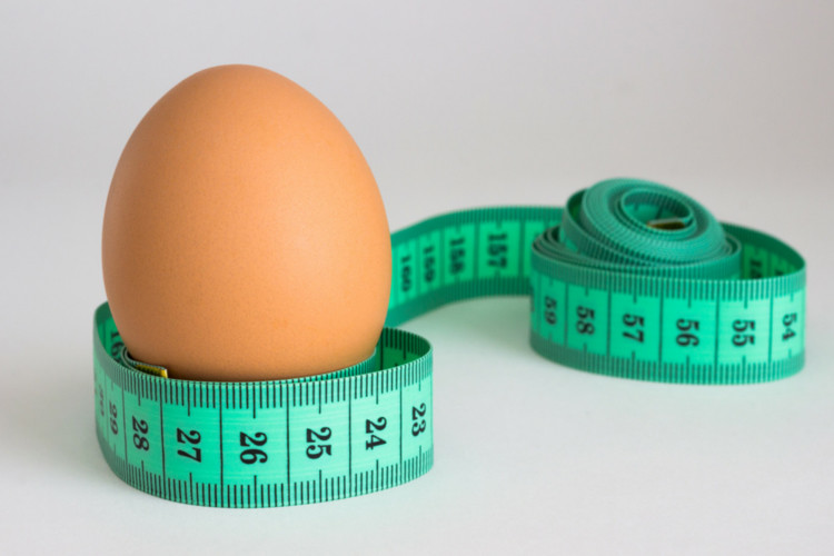 How do you measure performance in the poultry industry? Photo: Alltech