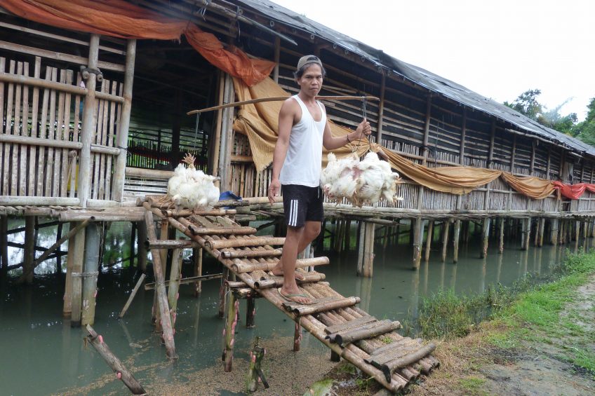 Investment in broiler houses in West Java: Makes good sense. Photo: Rick van Emous