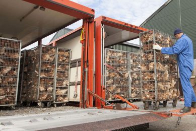 One common example of poultry stress is transportation. Photo: Koos Groenewold