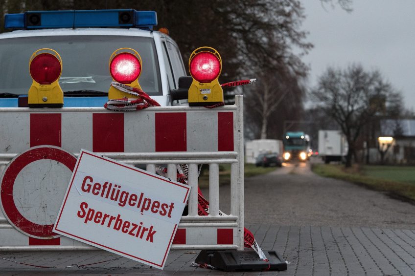 epa05688136 A 'Birds flu blocked area' notice hangs at the entrance to a mast barn closed by the police after the outbreak of avian influenza near Doetlingen, Lower Saxony, Germany, 25 December 2016. After the occurrence of the H5N8 virus, some 10,000 animals had to be killed. In the last few days there have been repeated outbreaks of avian influenza in Lower Saxony stables. EPA/INGO WAGNER