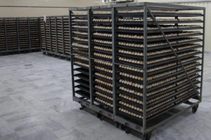 Spides  egg storage recovers hatchability