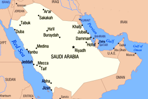 Ag ministry closes 80% of Saudi poultry projects
