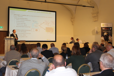 Human health and animal health are closely related, as addressed  during the 3rd IHSIG symposium  One World, One Health . [Photos: Phileo, Lesaffre Animal Care]