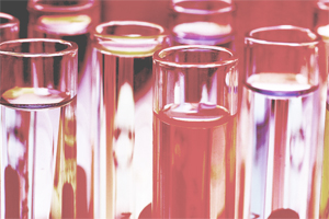 Controversy surrounds man-made bird flu plans