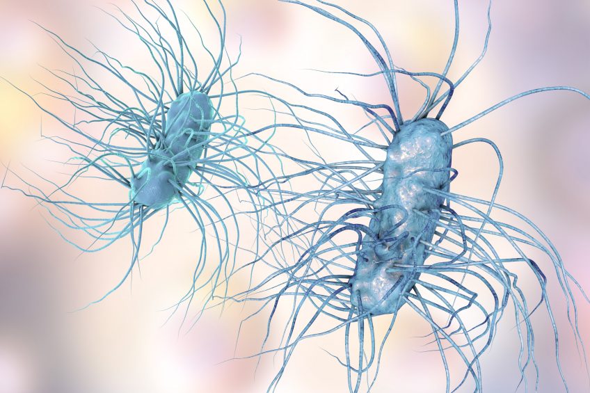 "We are polluting the environment with resistant genes"