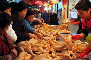 H7N9 detected in Chinese bird market