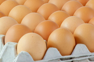 Food safety impacts UK Salmonella cases