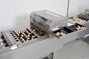 Prinzen launches its new egg grader: Ovograder